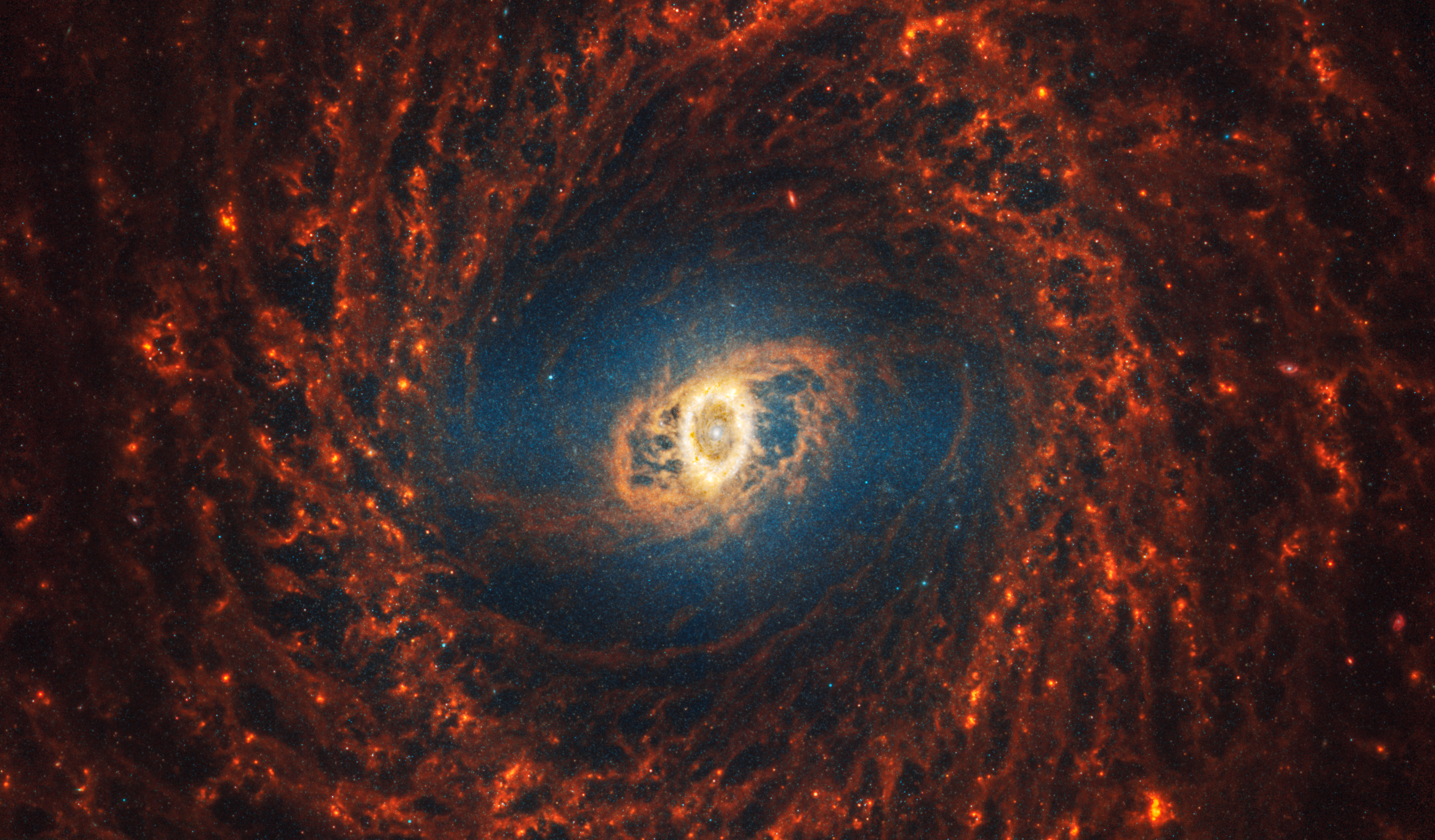 Webb’s image of NGC 3351 shows a face-on barred spiral galaxy anchored by its central region, which is oval and shows a bright white point at the center with darker and lighter yellow ovals around it. The galaxy’s filamentary spiral orange arms rotate clockwise and form a wide circular structure at the outer edges.