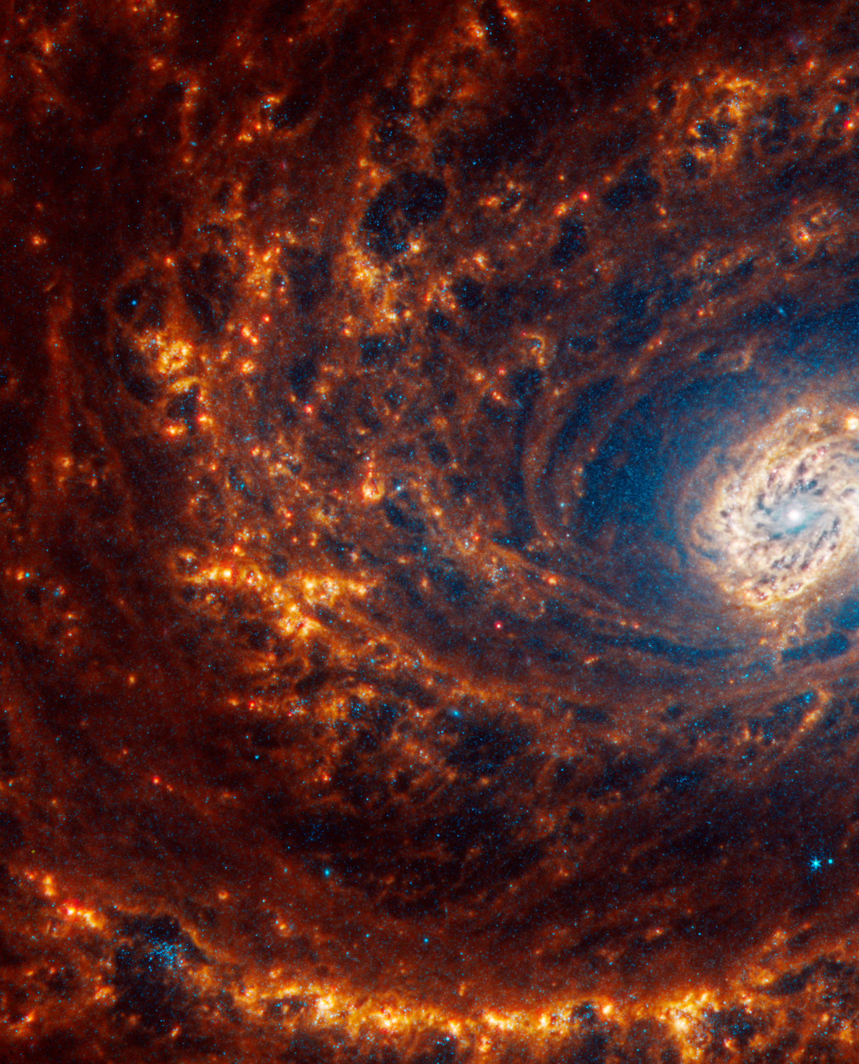 Webb’s image of NGC 4321 shows a face-on spiral galaxy anchored by its central region, which is located at far right, midway down, slightly cut off at far right. Darker, filamentary orange arms spiral away counterclockwise, showing only arc shapes.