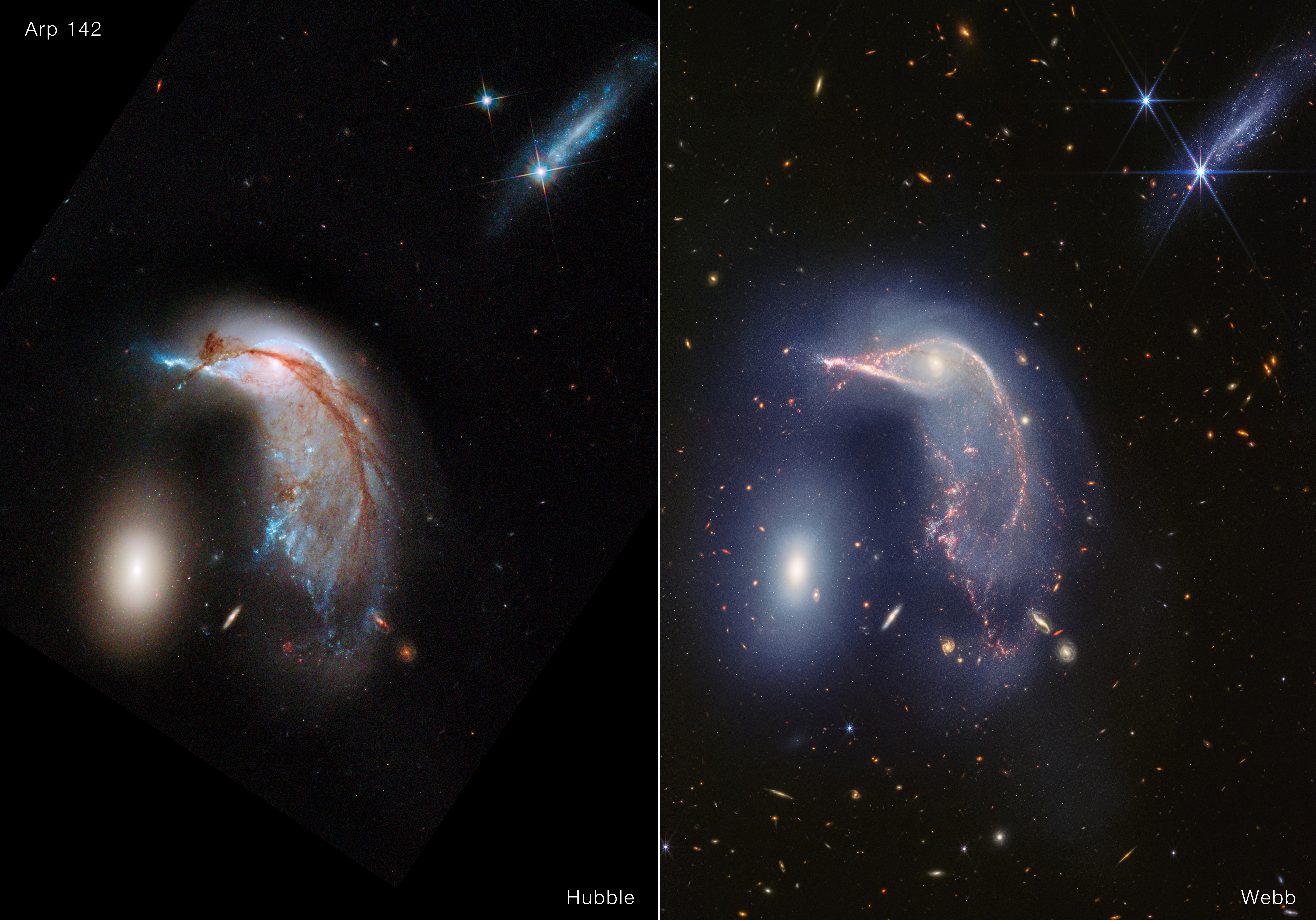 Frame is split down the middle: Hubble’s visible light image at left, and Webb’s near-infrared image at right. Both show the Egg at left and the Penguin at right.