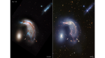 Frame is split down the middle: Hubble’s visible light image at left, and Webb’s near-infrared image at right. Both show the Egg at left and the Penguin at right. In Hubble’s view, the Penguin is highly detailed, with a bright blue beak, body, and tail that is covered in an arc of bright brown dust. The Egg, to its left, appears bright, gleaming yellowish white. At top right is another galaxy seen from the side, about as long as the Egg’s height. Dozens of galaxies and stars appear in the background. Webb’s near-infrared image shows the Penguin’s beak, head, and back in shades of pink. It’s tail-like region is more diffuse, and a mix of lighter pinks and blues. The Egg appears slightly larger in blue layers. A semi-transparent blue forms an upside down U over top of both galaxies. At top right, an edge-on galaxy has many more pinpricks of light, which are stars. Thousands of galaxies and stars appear in the background. Some galaxies are shades of orange, while others are white.