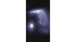 A visualization of Arp 142, two interacting galaxies, observed in near-infrared light. At left is NGC 2937, nicknamed the Egg. Its center is the brighter and whiter. At right and above is NGC 2936, nicknamed the Penguin. Its beak-like region points leftward, above the Egg. Where the eye would be is a small, opaque white central bulge. The Penguin’s distorted arms form the bird’s beak, back, and tail, the outlines of which are pink. The tail is wide and layered, like a beta fish’s tail. A semi-transparent blue hue traces the Penguin and extends from the galaxy, creating an upside-down U over top of both galaxies. The entire black background is filled with tiny, much more distant galaxies.