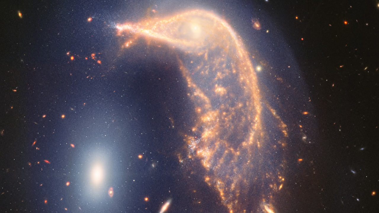 Two interacting galaxies known as Arp 142. At left is NGC 2937, nicknamed the Egg for its appearance. At right is NGC 2936, nicknamed the Penguin for its appearance. The latter’s beak-like region points toward and above the Egg.