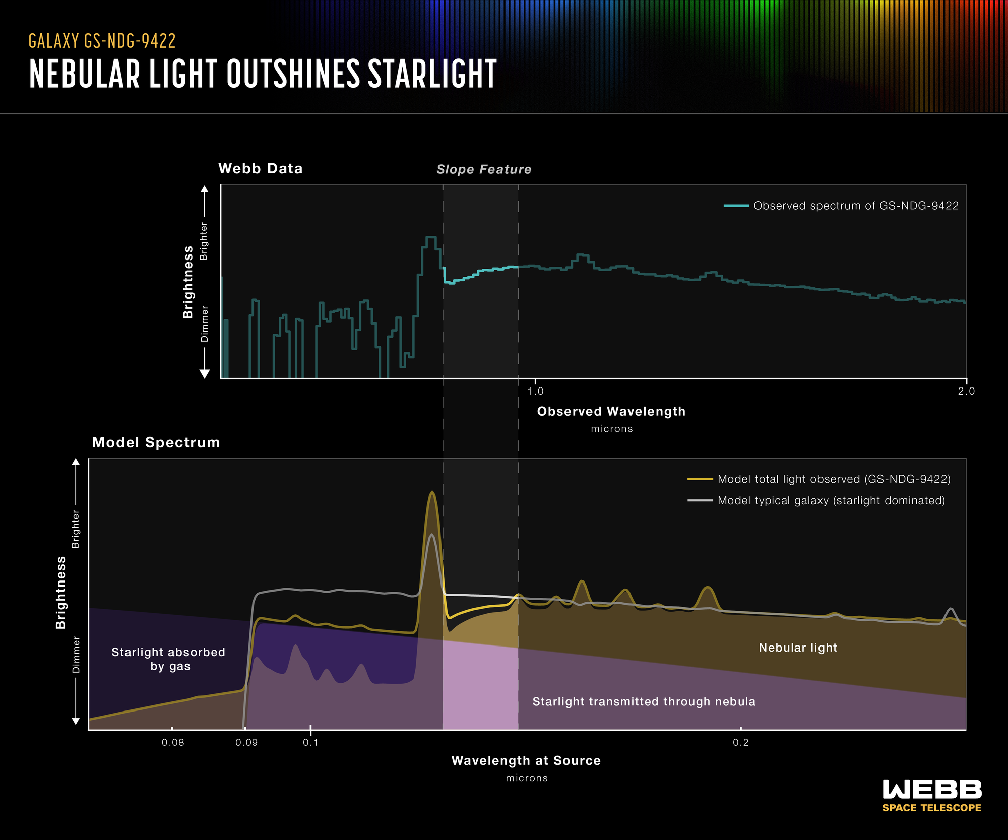 Infographic titled Galaxy GS-NDG-9422, Nebular light outshines starlight. Graphic is divided horizontally with one spectrum on top, labeled Webb Data, and one on bottom, labeled Model Spectrum. A portion of both spectrums about an inch wide is highlighted with a vertical column labeled Slope Feature. There is a clear similarity between the top and bottom graphs, thought the top has more angular lines and the bottom is smoother and rounded.