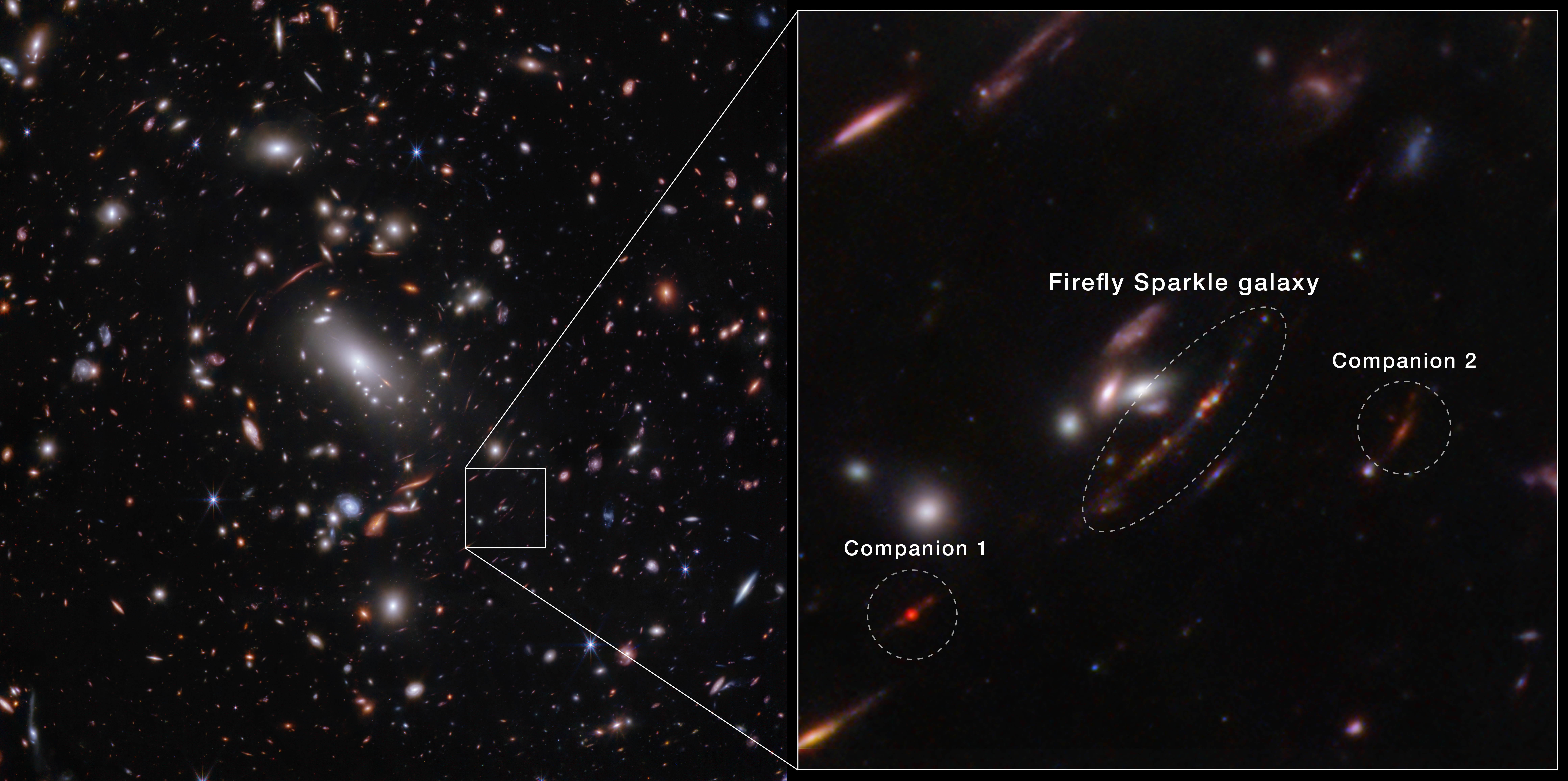 Horizontal split down the middle. At left, thousands of overlapping objects at various distances are spread across this galaxy cluster. A box at bottom right is enlarged on the right half. A central oval identifies the Firefly Sparkle galaxy, a line with 10 dots in various colors.