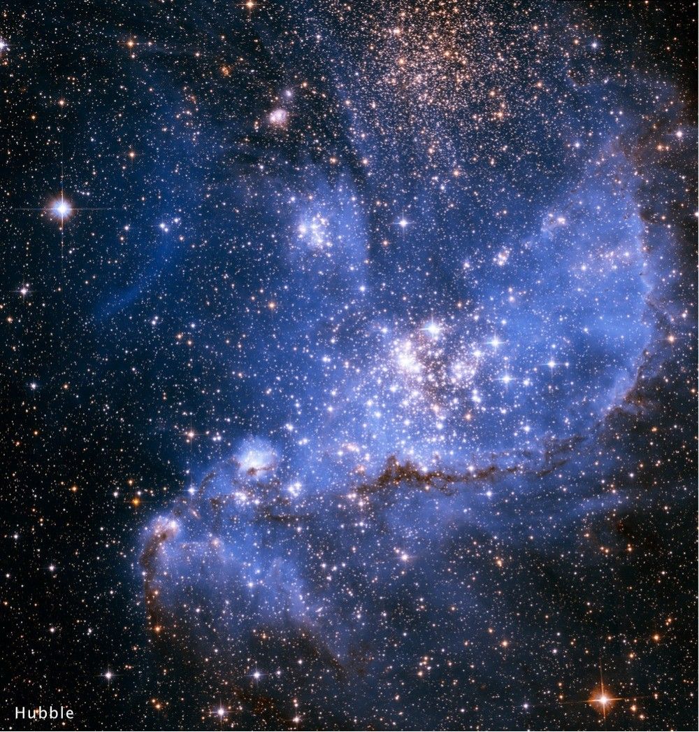 A Hubble image of the massive star cluster NGC 346. The Hubble image shows the cluster in shades of blue against a black background punctuated by white stars of various sizes. Ethereal nebulosity, looking much like draped chiffon, dominates the image.