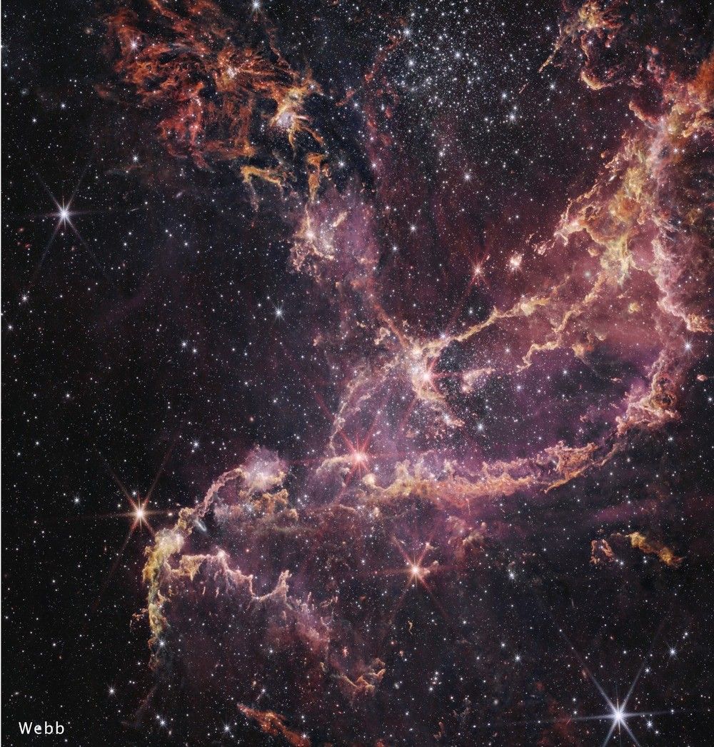 A Webb image of the massive star cluster NGC 346. The Webb view, in shades of pink and orange against a black background, is speckled with fewer stars than in the Hubble image of the same cluster. These stars are white and pink. Webb pierces through the cluster’s clouds to reveal more of its structure, which looks like twisted fibers.