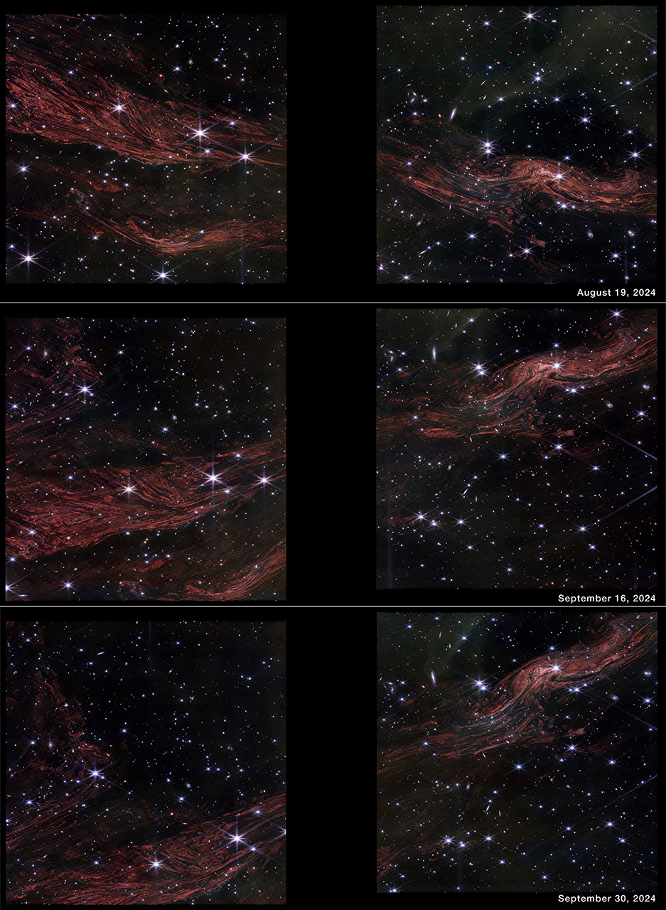 Three rows show Webb images of the same region taken on three different dates. The top row is labeled August 19, 2024. The middle row is labeled September 16, 2024. The bottom row is labeled September 30, 2024. Each row shows two images split by a vertical black bar where there is no data. Each image is speckled with dozens of white stars, some showing Webb’s signature 8-point diffraction spikes, against the black background of space. The images also show tightly packed, glowing red filaments that resemble muscle fibers or wood grain. While the background stars are the same in every row, the filaments change noticeably. In the top row, the filaments extend horizontally from upper left to lower right. In the middle and bottom rows, the filaments extend from lower left to upper right, and seem to shift slightly downward in position, with the last the lowest.