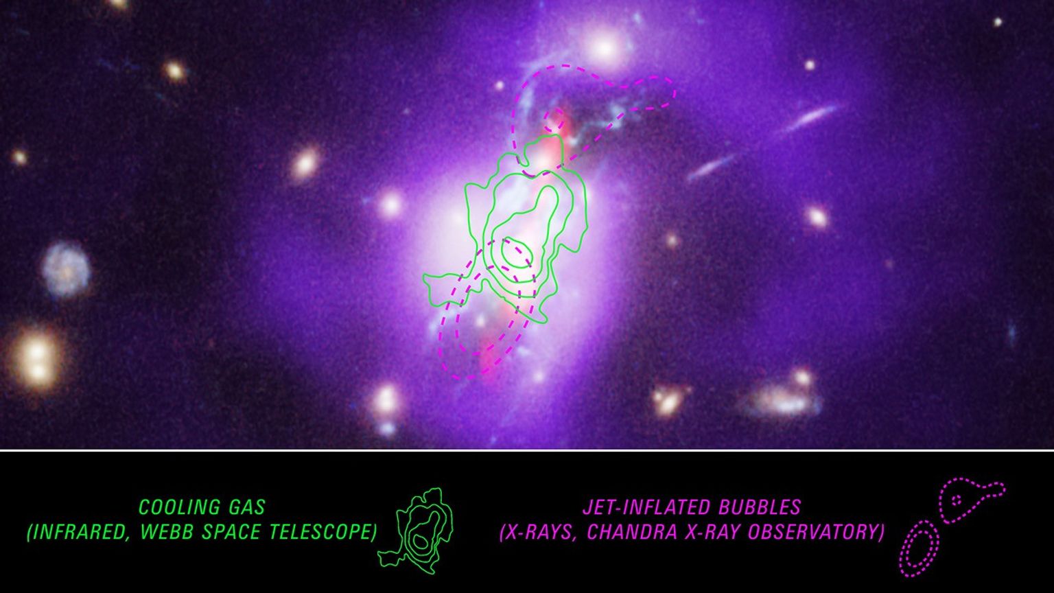A galaxy cluster. The center of the cluster is bright white with short red jets that point toward the top right and bottom left, and several blue filaments that spread throughout the center. Outside the bright center is purple gas that is bright toward the center of the image and dimmer further from the center. There are contour lines overlayed in different colors. A key on the bottom indicates what each outline is representing. On the left side of the key, green irregular concentric lines shaped like a mountain on a topographic map are shown with the text cooling gas. Those same contours are placed overtop the center of the galaxy cluster. At the right side of the key, purple dashed lines are shaped in two ovals with the text jet-inflated bubbles. These oval outlines are place above and below the green contours at the center of the image.