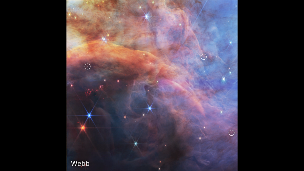 A star-forming nebula. There is an orange and yellow fang-like cloud of matter that juts out from the left side. Below the fang, there are more clouds of a dark brown shade with a few red and blue stars shining brightly within and revealing Webb’s eight-pronged diffraction pattern. Above the fang, the clouds of dust and gas are brighter, appearing light brown. The rightmost side of the image appears to be composed of thick, blue clouds of dust and gas. There are three red and blue points of light that are highlighted by white circles. One of these is located at about 9 o’clock, in the middle of the fang-like cloud, near the left. Another is located at about 2 o’clock, slightly to the top right of the fang-like cloud. The last is located at about 5 o’clock, close to the bottom right. More red, blue, and white stars of different sizes are spread throughout.