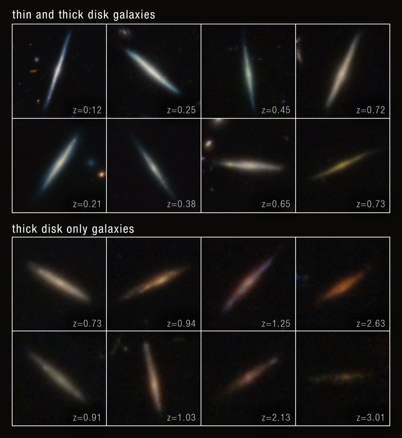 Two mosaics of edge-on disk galaxies observed by the James Webb Space Telescope. Each mosaic has eight images, split in two rows. The mosaic at the top is titled “thin and thick disk galaxies.” The mosaic at the bottom is titled “thick disk only galaxies.” Each disk galaxy is centered within a square frame and lies against the black background of space. They appear as thin lines with a slight bulge in their centers. A few of the galaxies are horizontal or vertical, but many are angled diagonally. The thin and thick disk galaxies are overall whiter and brighter compared to the thick disk only galaxies, which are fainter and brown-orange. Text in the bottom right of each box lists the galaxy’s redshift. From left to right, the first row of the top mosaic reads z =0.12; z = 0.25; z = 0.45; and z = 0.72. The second row reads z = 0.21; z = 0.38; z =0.65; and z = 0.73. The top row of the bottom mosaic reads z = 0.73, z = 0.94; z = 1.25; and z = 2.63. The bottom row reads z = 0.91; z = 1.03; z = 2.13; and z = 3.01.