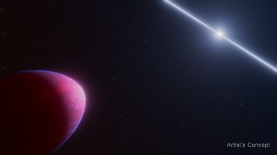 Exoplanet PSR J2322-2650b and Pulsar (Artist's Concept)