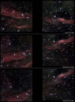 Three rows show Webb images of the same region taken on three different dates. The top row is labeled August 19, 2024. The middle row is labeled September 16, 2024. The bottom row is labeled September 30, 2024. Each row shows two images split by a vertical black bar where there is no data. Each image is speckled with dozens of white stars, some showing Webb’s signature 8-point diffraction spikes, against the black background of space. The images also show tightly packed, glowing red filaments that resemble muscle fibers or wood grain. While the background stars are the same in every row, the filaments change noticeably. In the top row, the filaments extend horizontally from upper left to lower right. In the middle and bottom rows, the filaments extend from lower left to upper right, and seem to shift slightly downward in position, with the last the lowest.