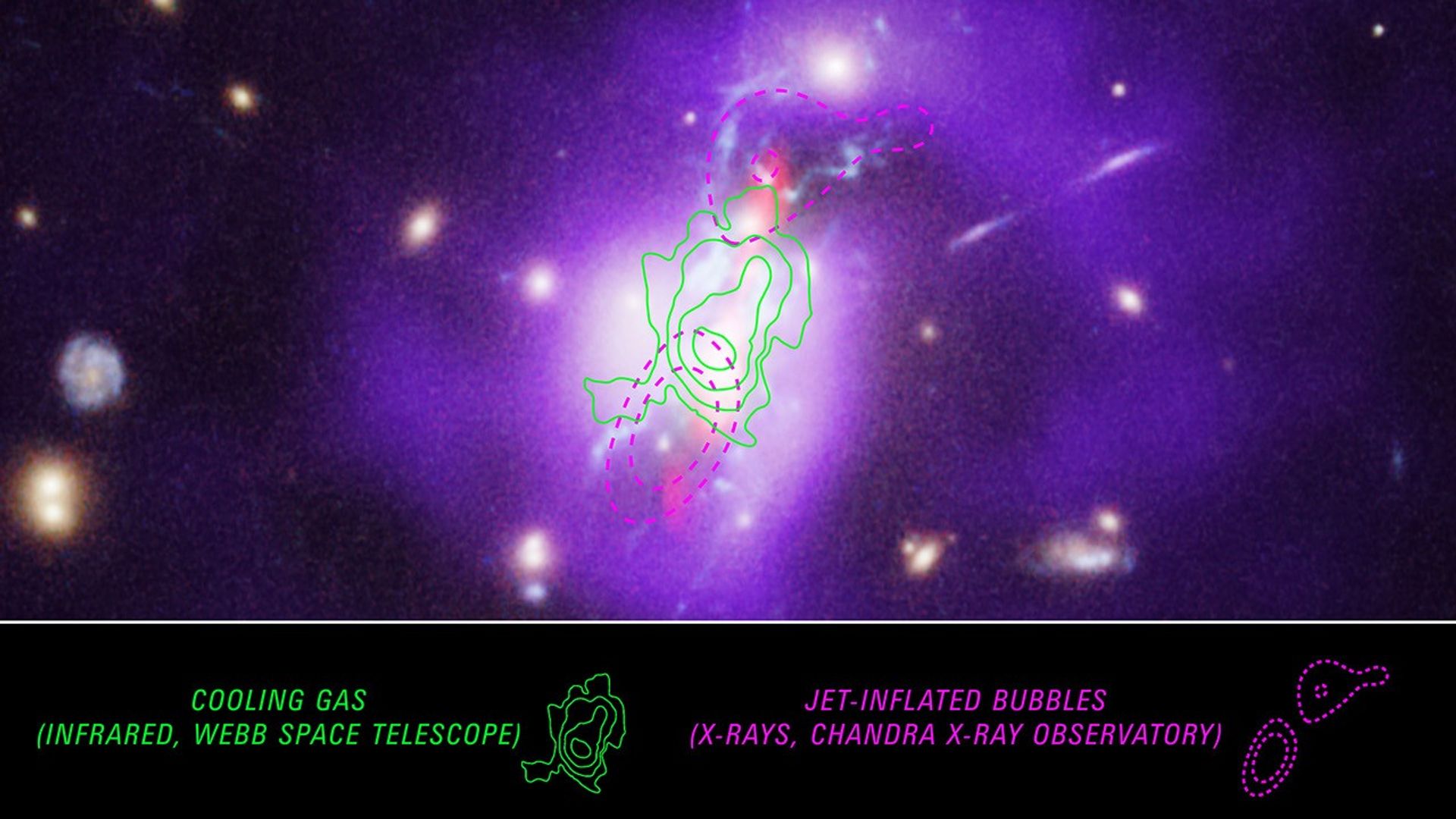A galaxy cluster. The center of the cluster is bright white with short red jets that point toward the top right and bottom left, and several blue filaments that spread throughout the center. Outside the bright center is purple gas that is bright toward the center of the image and dimmer further from the center. There are contour lines overlayed in different colors. A key on the bottom indicates what each outline is representing. On the left side of the key, green irregular concentric lines shaped like a mountain on a topographic map are shown with the text cooling gas. Those same contours are placed overtop the center of the galaxy cluster. At the right side of the key, purple dashed lines are shaped in two ovals with the text jet-inflated bubbles. These oval outlines are place above and below the green contours at the center of the image.