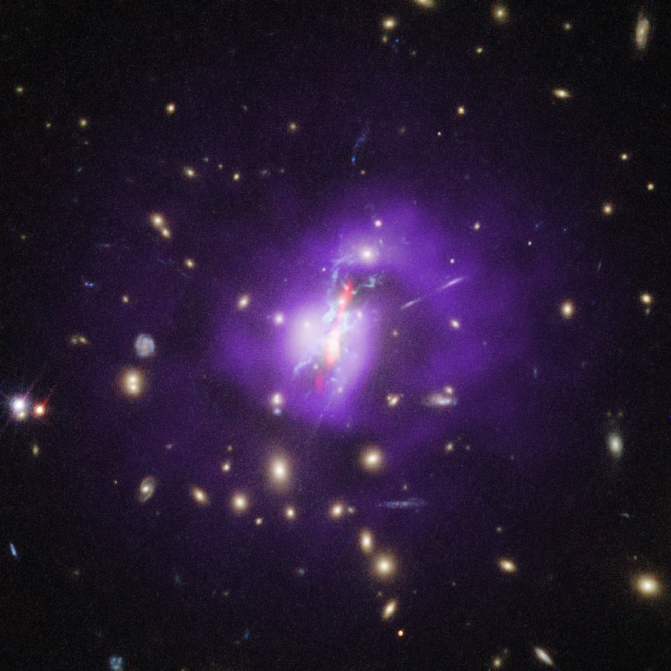 A galaxy cluster. The center of the cluster is bright white with short red jets that point toward the top right and bottom left, and several blue filaments that spread throughout the center. Outside the bright center is purple gas that is bright toward the center and dimmer further from the center. Yellow galaxies of various shapes and sizes are spread throughout the image.