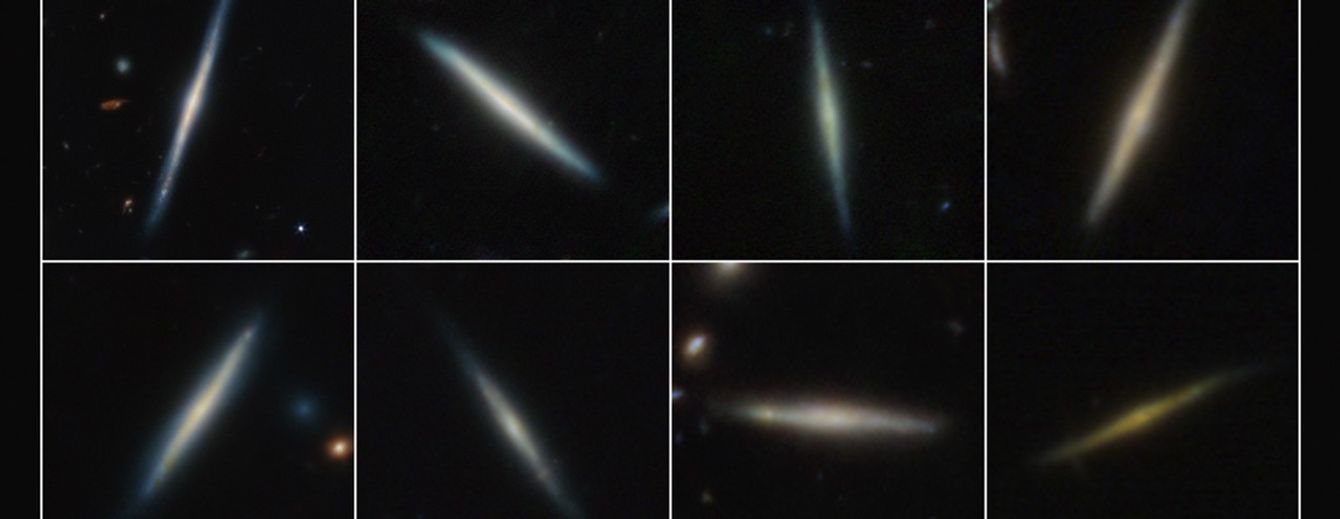 Eight edge-on disk galaxies observed by the James Webb Space Telescope, split in two rows. Each disk galaxy is centered within a square frame and lies against the black background of space. They appear as thin lines with a slight bulge in their centers. A few of the galaxies are horizontal or vertical, but many are angled diagonally.