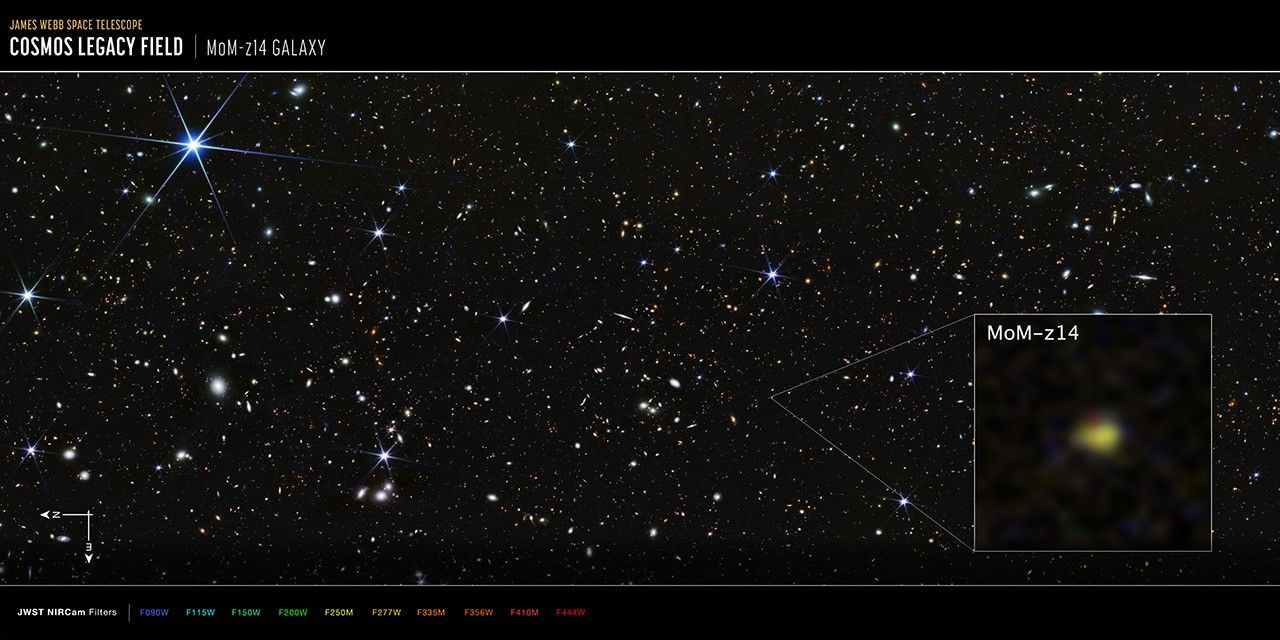 James Webb Space Telescope image of many small galaxies, with a graphic pull-out box highlighting one galaxy, a fuzzy yellow blob labeled MoM-z14. Image includes compass arrows, scale bar, and color key for reference.