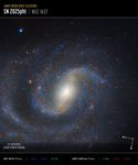 Image titled u201cJames Webb Space Telescope, S N 2025 p h t, NGC 1637u201d. The image shows a face-on spiral galaxy speckled with myriad blue and red stars. The yellowish core of the galaxy forms a fuzzy oval tilted to the upper right.