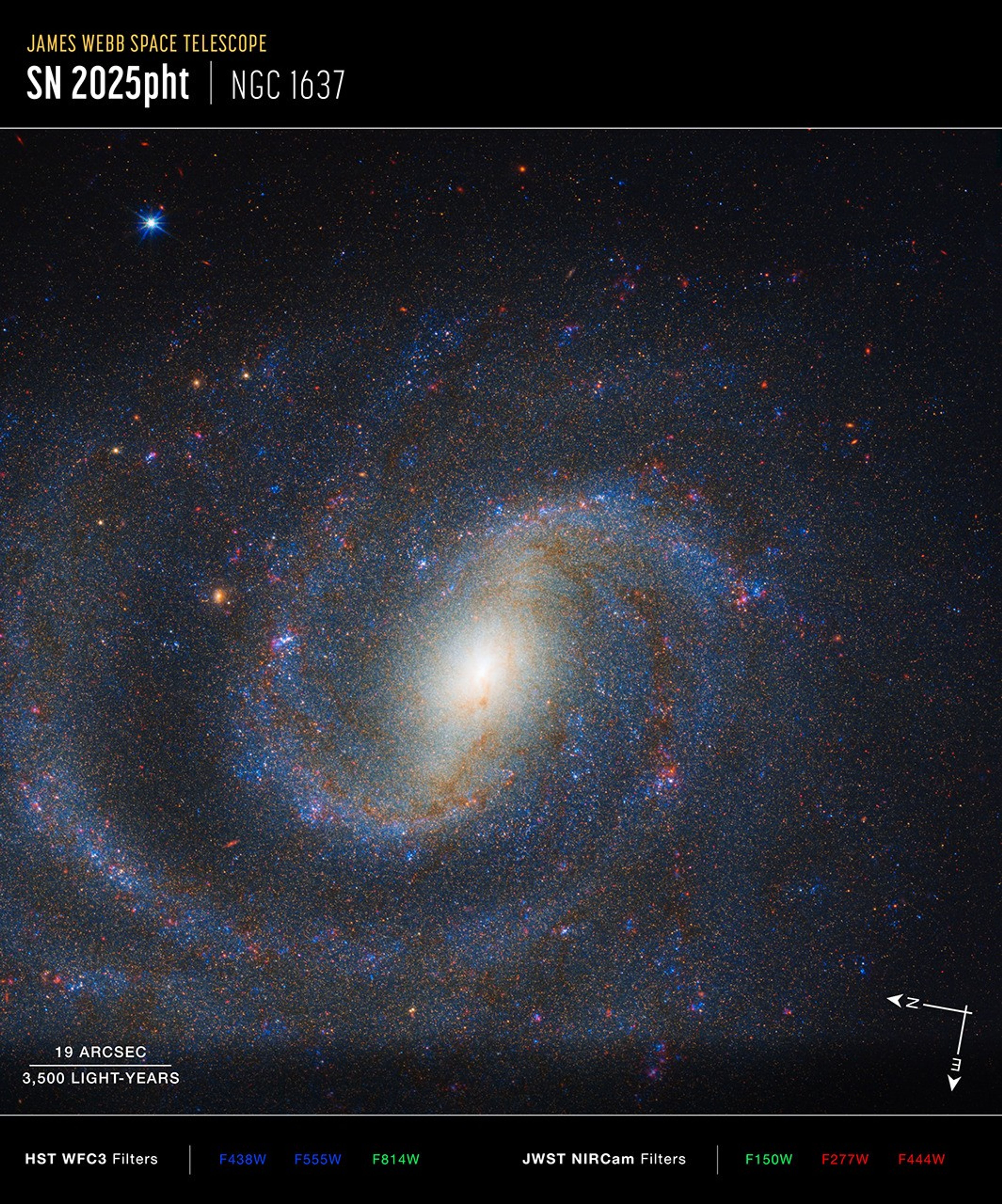 Image titled u201cJames Webb Space Telescope, S N 2025 p h t, NGC 1637u201d. The image shows a face-on spiral galaxy speckled with myriad blue and red stars. The yellowish core of the galaxy forms a fuzzy oval tilted to the upper right.