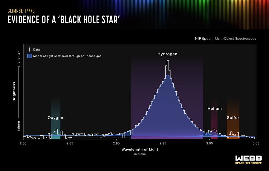 Graphic titled “GLIMPSE-17775, Evidence of a ‘Black Hole Star, NIRSpec, Multi-Object Spectroscopy’” shows a graph of amount of light blocked on the y-axis versus wavelength of light, microns. The bottom of the y-axis is labeled “fainter,” and the top is labeled “brighter.” The x-axis starts with 2.80 microns at left and continues in increments of five, ending with 3.05 microns at right. A key at top left has a white line labeled “Data” and a small blue square labeled “Model of light scattered through hot dense gas.” The white data line is stepped with a large bell-like curve that peaks at 2.95 microns. It is labeled “hydrogen” and highlighted by a semi-transparent purple. The data also forms small peaks highlighted with different colors: around 2.84 microns, oxygen, green; 3.0 microns, helium, red; and 3.02 microns, sulfur, orange. The blue filling, representing the model, approximately fills the bell-like curve that marks hydrogen. A smaller peak of blue also approximately fills the data’s peak of helium.