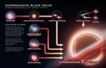 Infographic titled “Supermassive Black Holes, Humble Beginnings of Cosmic Giants.” There are several rows of images and illustrations that represent ways that black holes can form and eventually become supermassive black holes.