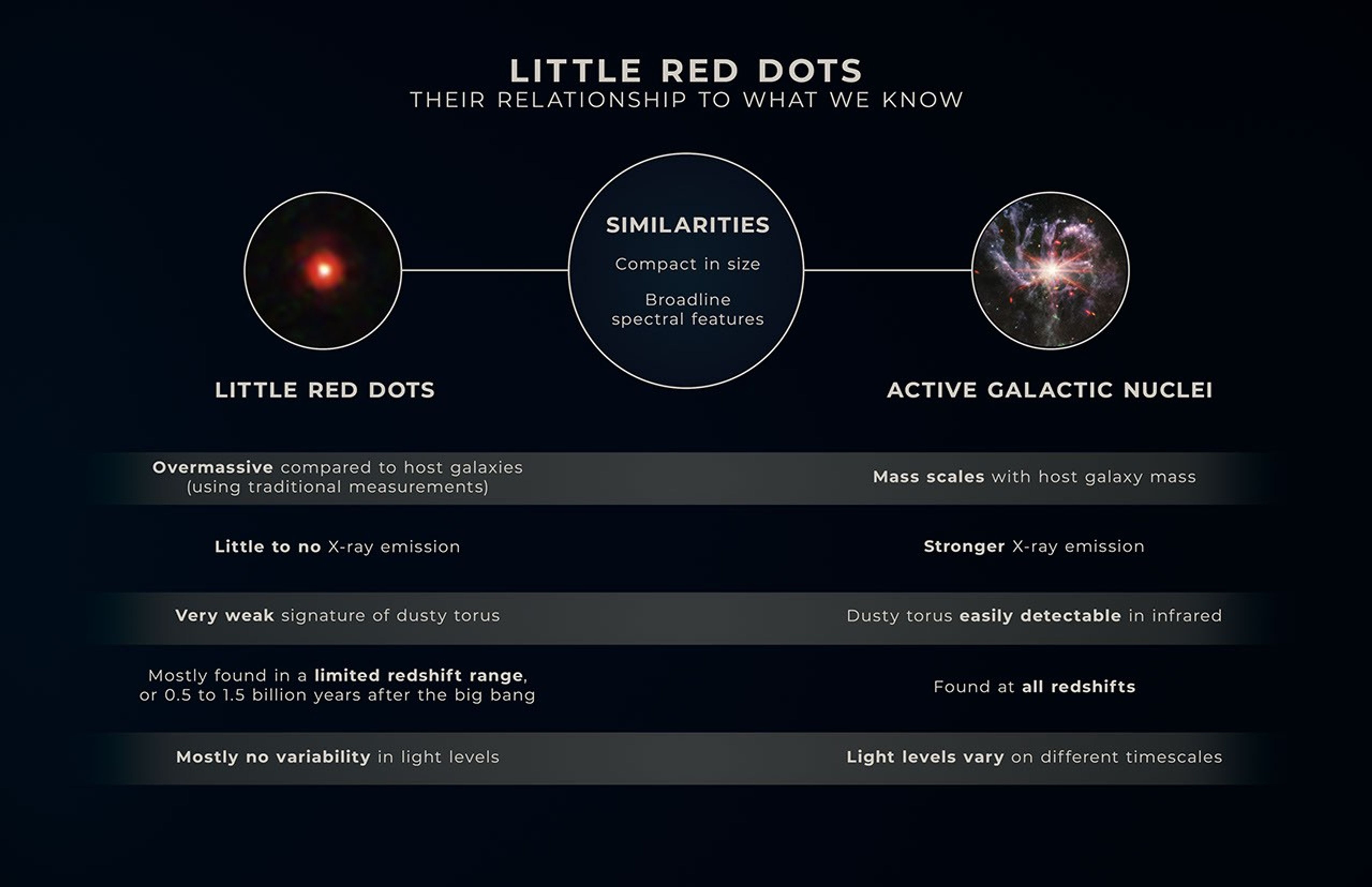 Infographic titled “Little Red Dots, Their Relationship To What We Know.” It shows two columns, one labeled “Little Red Dots” and the other labeled “Active Galactic Nuclei,” each with five rows of their respective traits underneath those labels. These traits show how both little red dots and active galactic nuclei differ. Between the “Little Red Dots” and “Active Galactic Nuclei” sections, a list of similarities are provided.