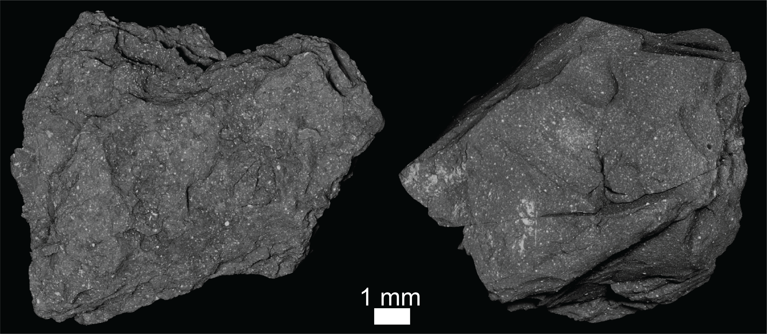 An X-Ray Computed Tomography (XCT) view of two irregularly-shaped, dark grey  particles side-by-side against a black background.