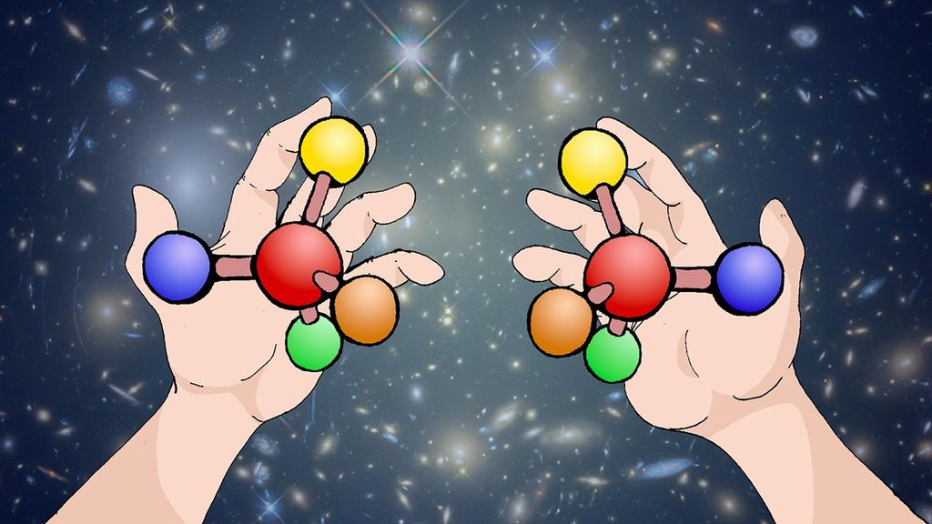 What are the characteristics of life?