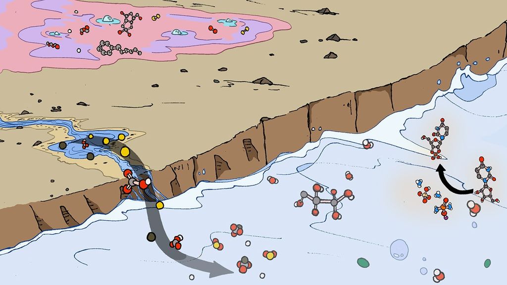 Portrait photo of "Comic-style illustration showing organic chain molecules washing from land into  body of water, depicted by grey arrows, illustrating prebiotic chemistry and polymerization reactions.
