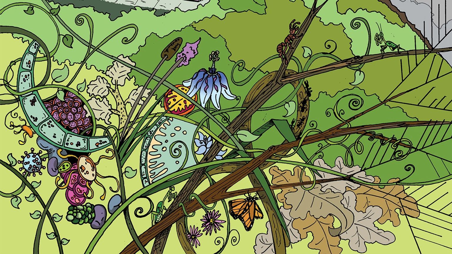 Comic-style lush landscape is shown with plants of different shades of green, ferns, flowers, butterflies, maple leaves, and a chain of magnified plant cells decorating the left part of the image.