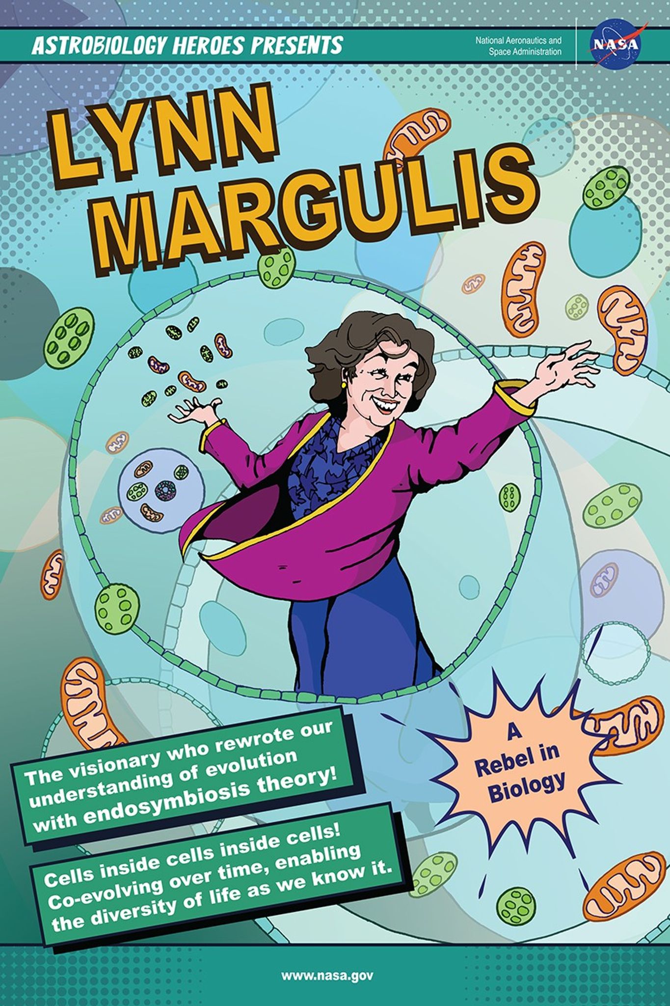 This poster shows Lynn Margulis in comic art. She is center frame with a smile, visible in full. She wears loose fitting clothing that blows about in motion, as does her hair. She is partially encased in a cell wall with the lower part of her body inside, but visible through the opaque wall. She reaches out toward a mitochondria, which floats alongside other organelles in the image. More cells and organelles are visible in the background. Text reads (top to bottom), Astrobiology Heroes Presents, Lynn Margulis. A rebel in biology (splash text). The visionary who rewrote our understanding of evolution with endosymbiosis theory (text box)! Cells inside cells inside cells! Co-evolving over time, enabling the diversity of life as we know it (text box).