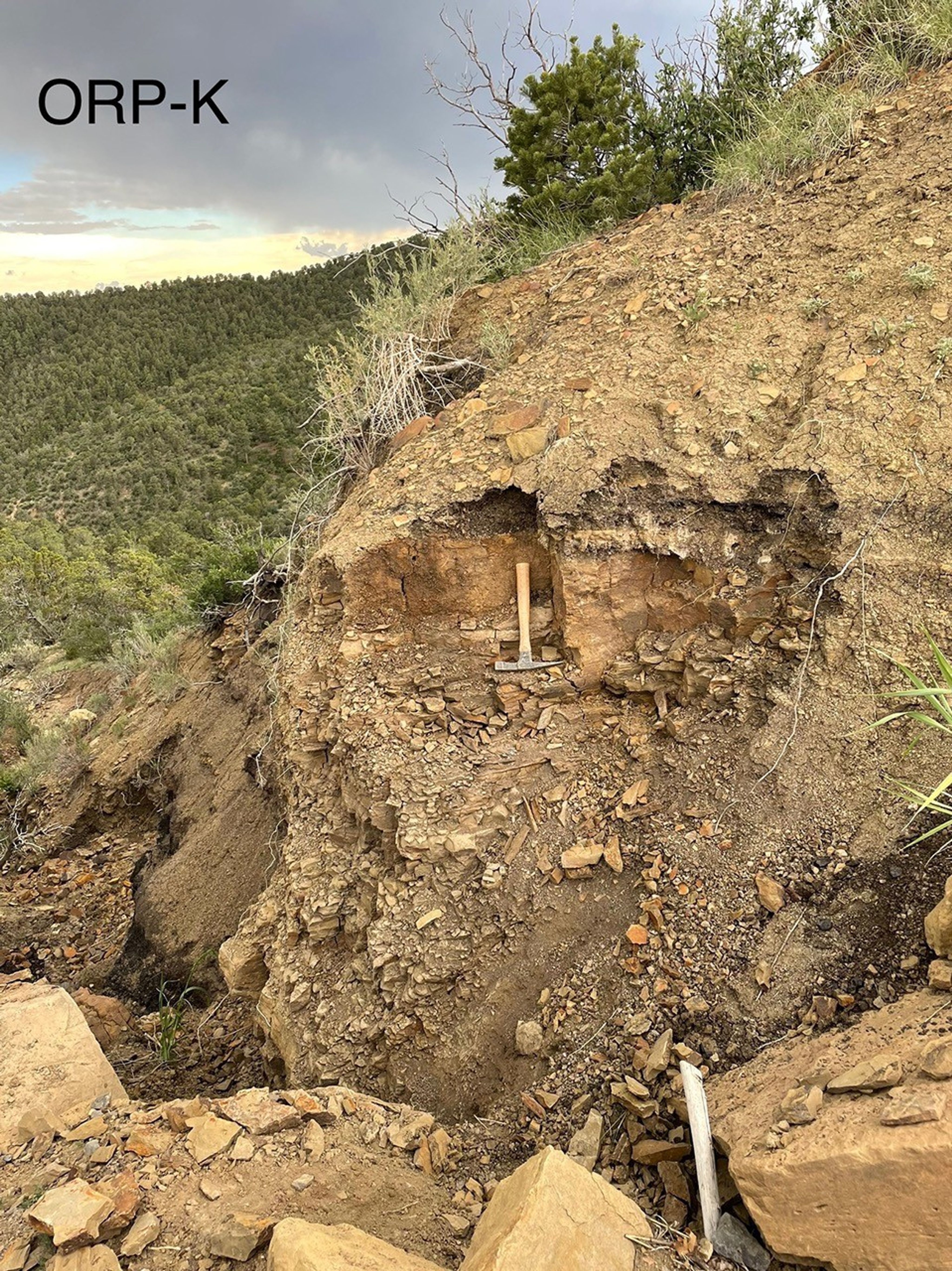A rock outcrop fills most of the frame with a portion of scrubland visible in the background to the left of frame. Amongst the outcrop is a rock hammer for scale. The rock ledge is around 15 feet tall.