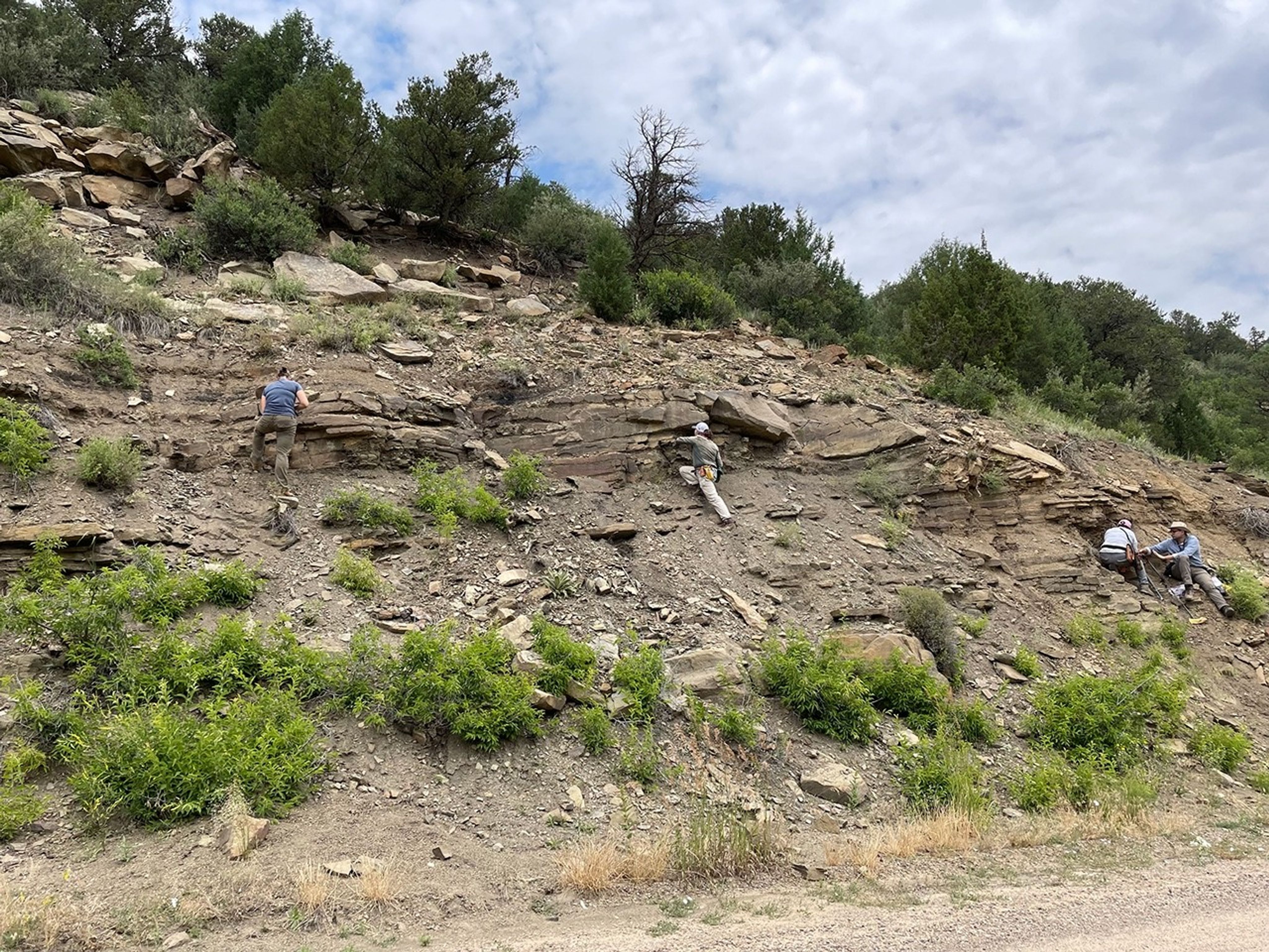 Four scientists are spread out along a rock ridge looking for samples to collect. Small trees line the top of the otherwise exposed ridge.