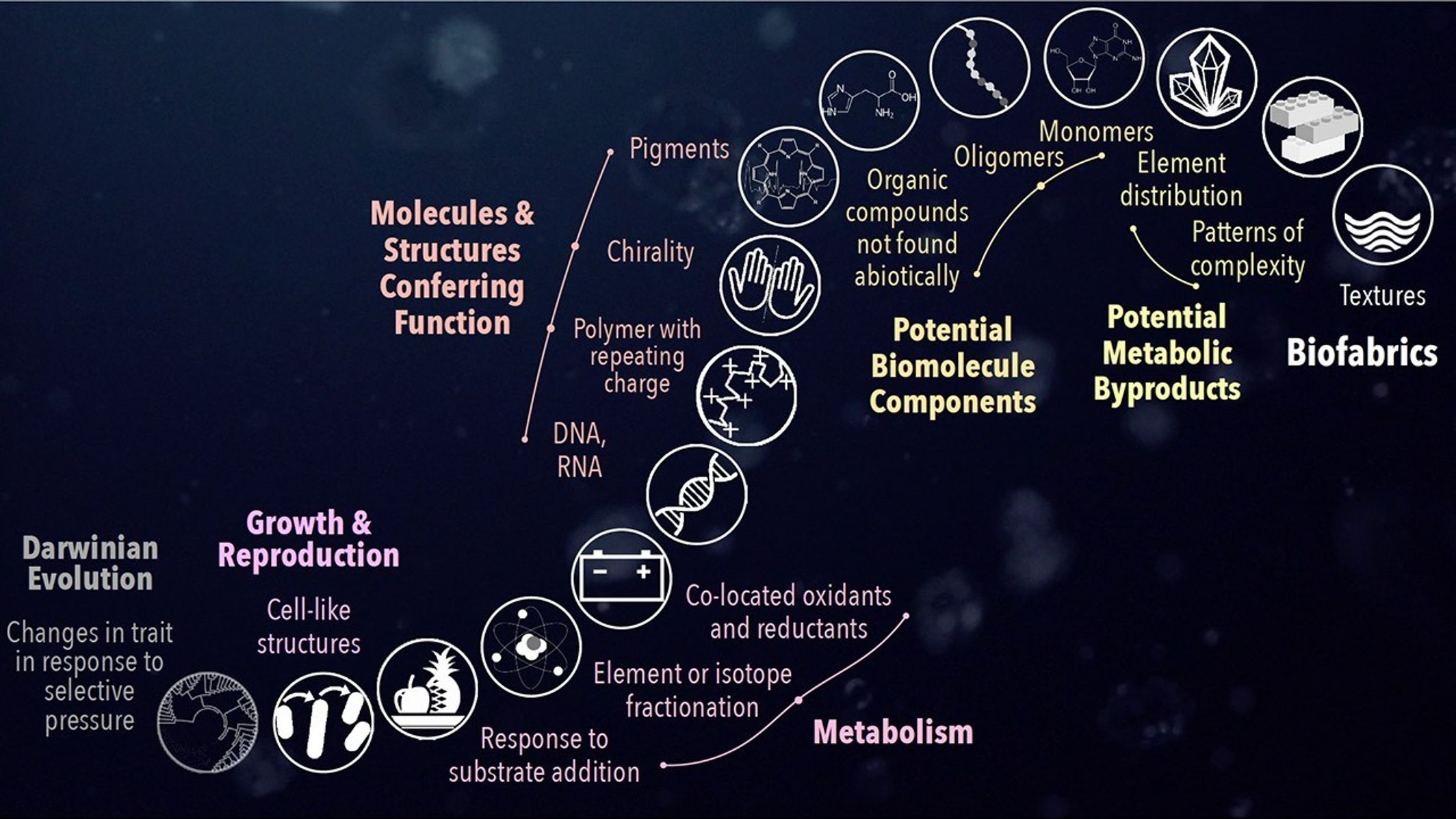 A diagram titled "The Ladder of Life Detection" displayed against a dark, space-like background. The image organizes various potential signs of life into categories that curve upward, resembling a ladder. Key categories from bottom to top include "Darwinian Evolution," "Growth & Reproduction," "Molecules & Structures Conferring Function," "Potential Biomolecule Components," "Potential Metabolic Byproducts," and "Biofabrics." Specific examples within these categories range from "Cell-like structures" and "DNA, RNA" to "Monomers," "Element distribution," and "Textures," each accompanied by an icon. The arrangement is intended to stimulate scientific discussion regarding life detection beyond Earth.
