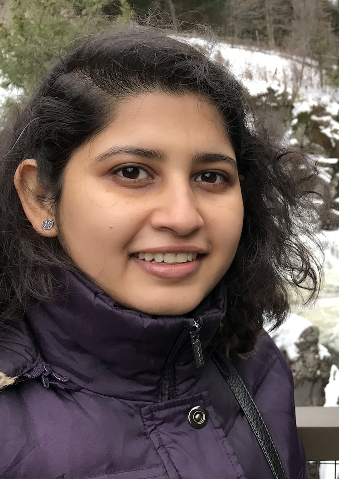 Portrait photo of Dolon Bhattacharyya, Ph.D.