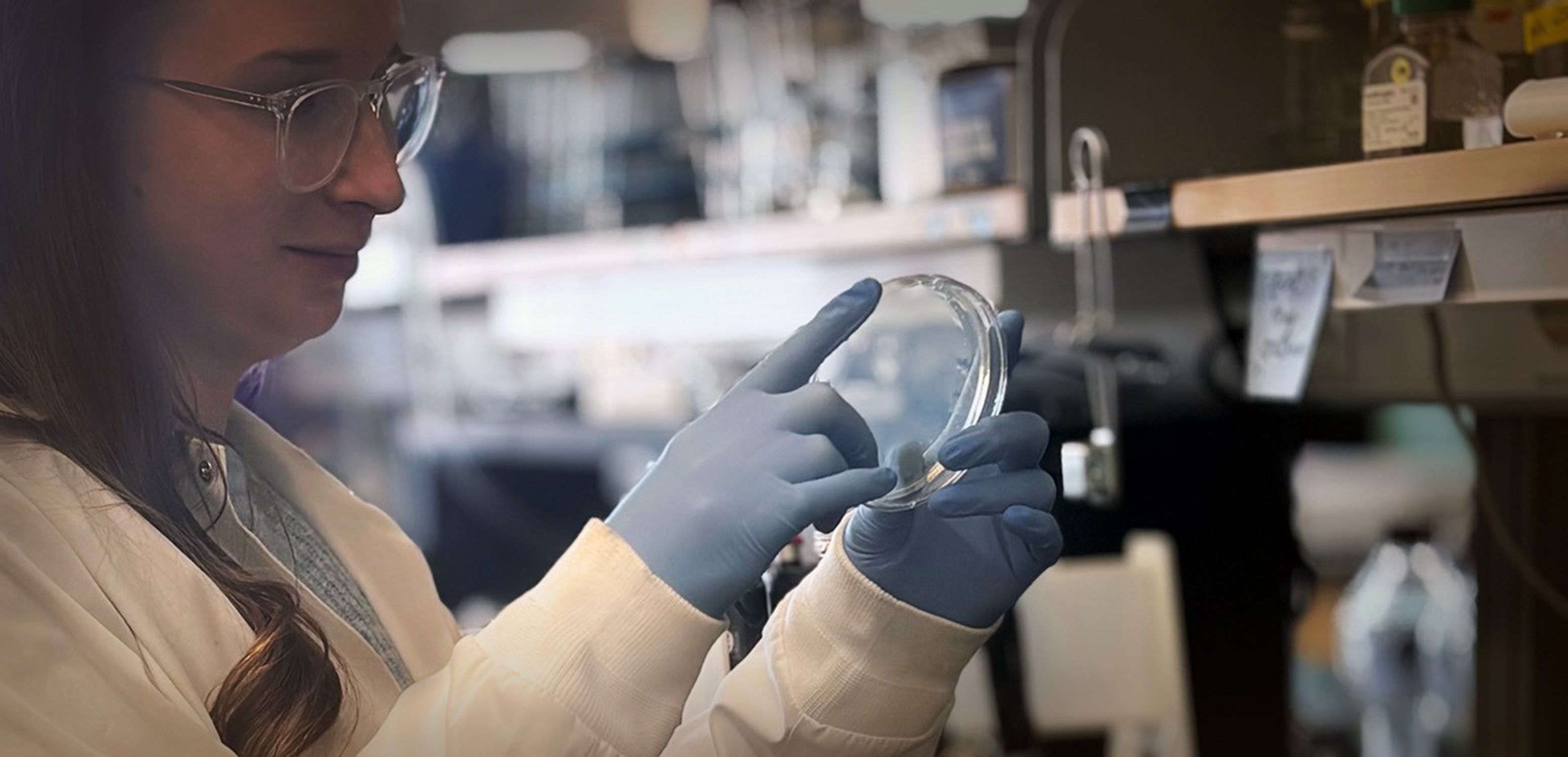 A woman in profile view lifts a petri dish to examine it. The petri dish is center of frame. She wears glasses, a white lab coat, and blue gloves. The shelves of the lab full of equipment can be seen out of focus in the background.