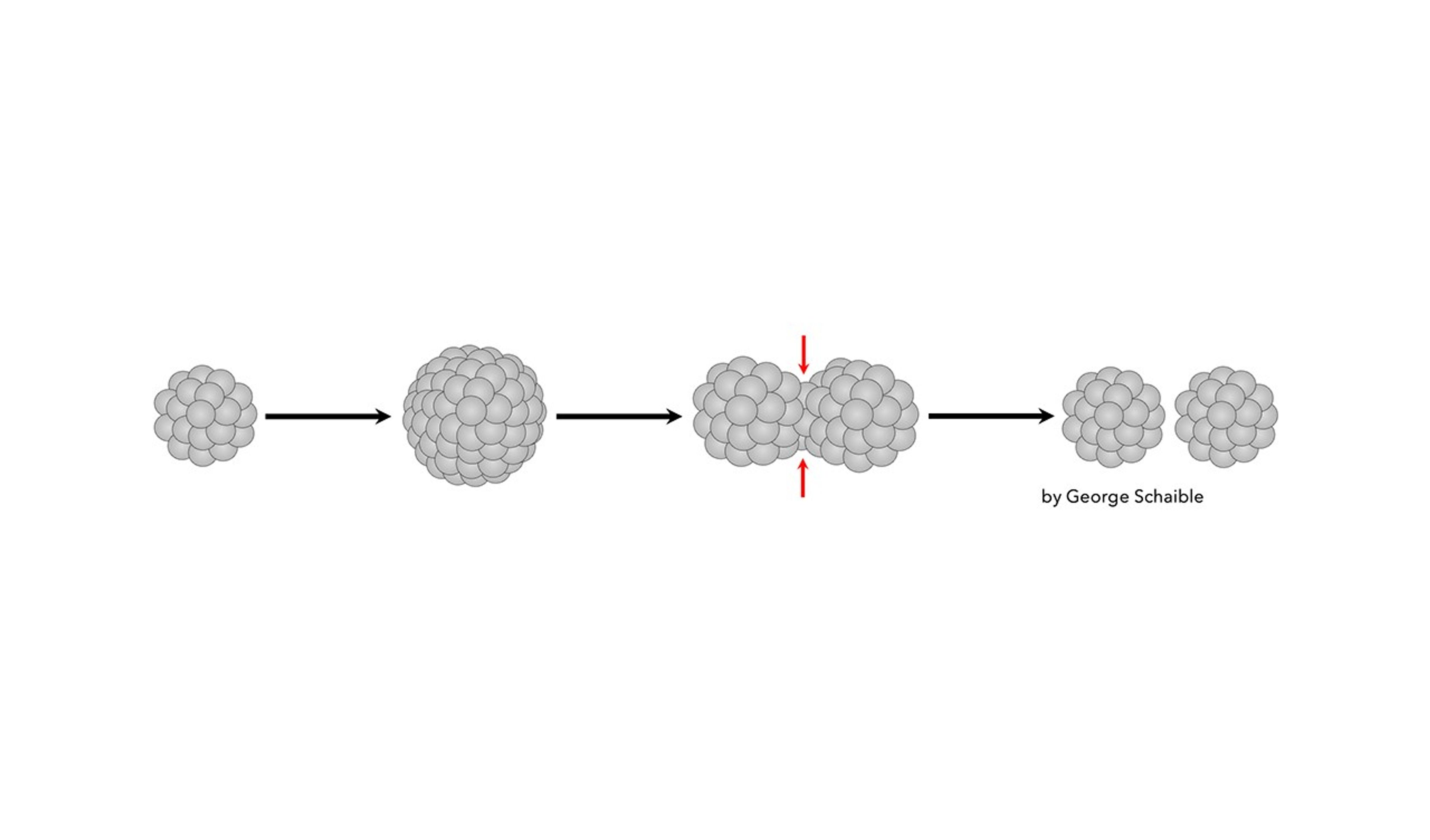 To the left is a ball of cells representing an MMB consortium. An arrow leads right to a larger ball that has grown in cell numbers. Further arrow shows that ball begin to split into two smaller balls. Finally two separate consortium are left.