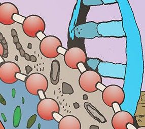 This cropped image shows a comic drawing of bands of green microbial cells (bottom left), geological microbial fossils (center running top left to bottom right), and DNA top right. Dividing the bands are molecules formed from red balls connected by single bonds.