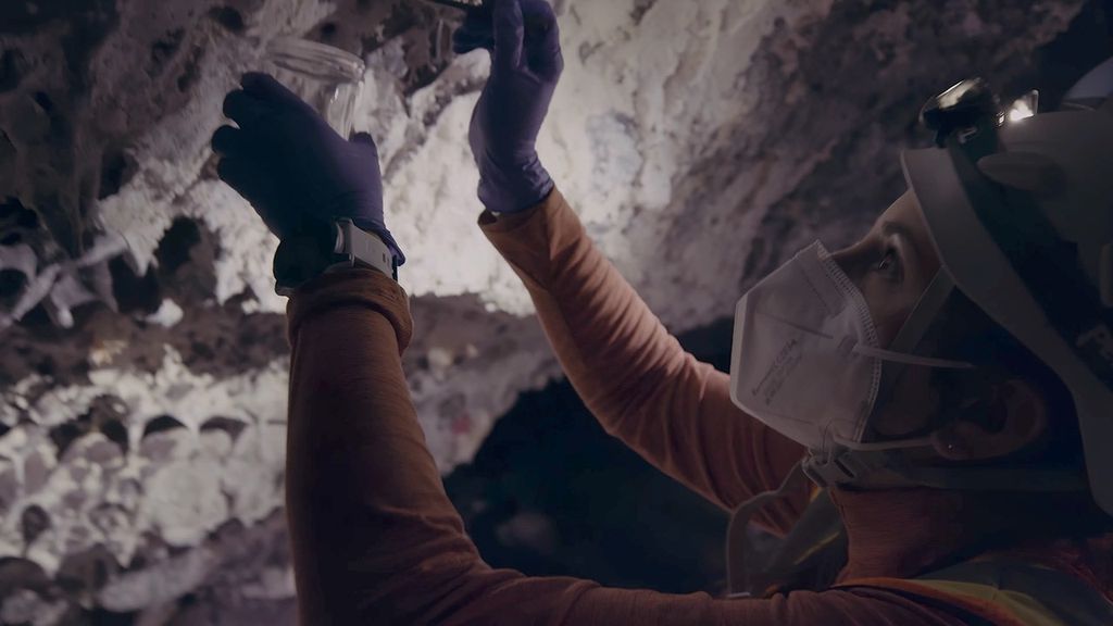 A researcher wearing a white face mask, a headlamp-equipped helmet, and blue gloves carefully collects samples from a cave ceiling. The individual is holding a clear glass jar up to white, mineral formations in a dark, rocky environment.