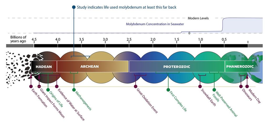 NASA Research Shows Early Life Relied on Rare Metal