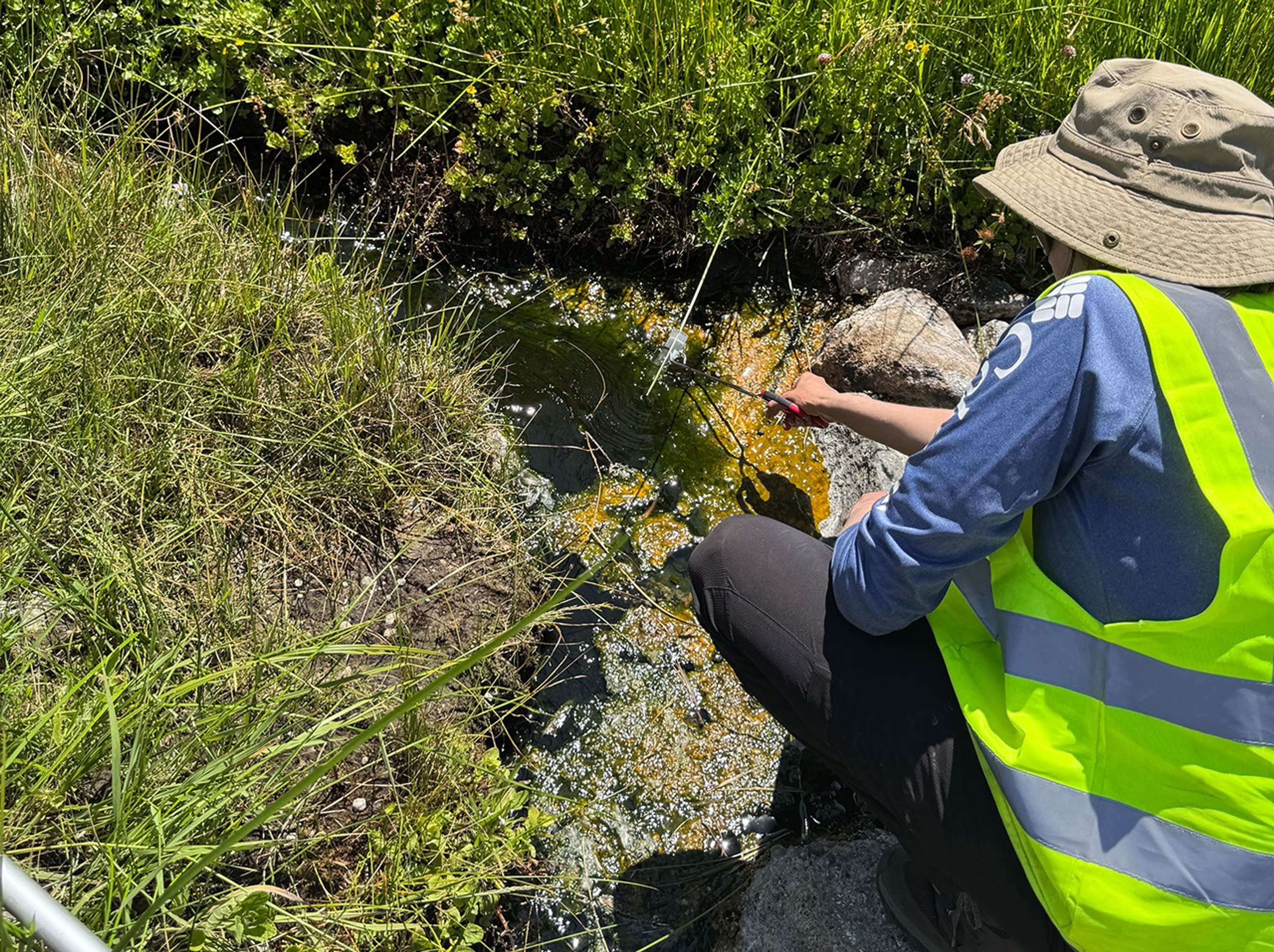 NASA-Funded Research Finds Complex Life Defying Record Heat NASA-Funded Research Finds Complex Life Defying Record Heat
