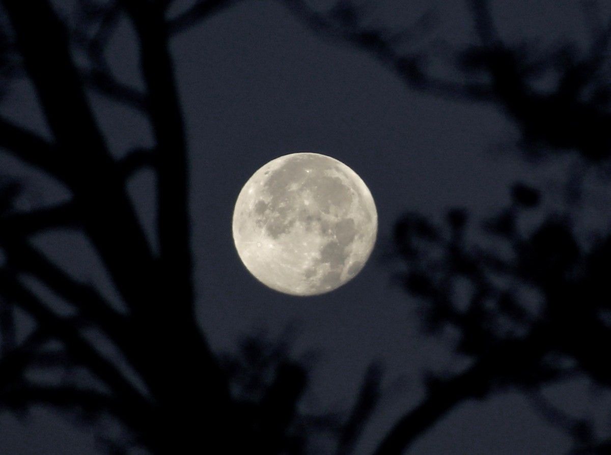 Large full moon framed by silhouetted tree branches in a dark sky.
