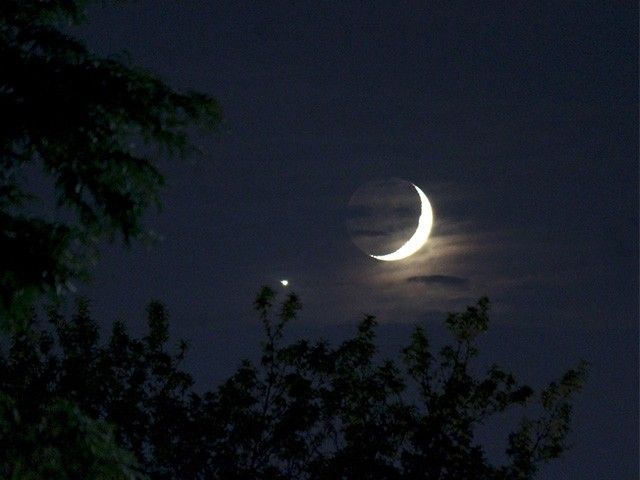 Crescent Moon and Venus above trees.