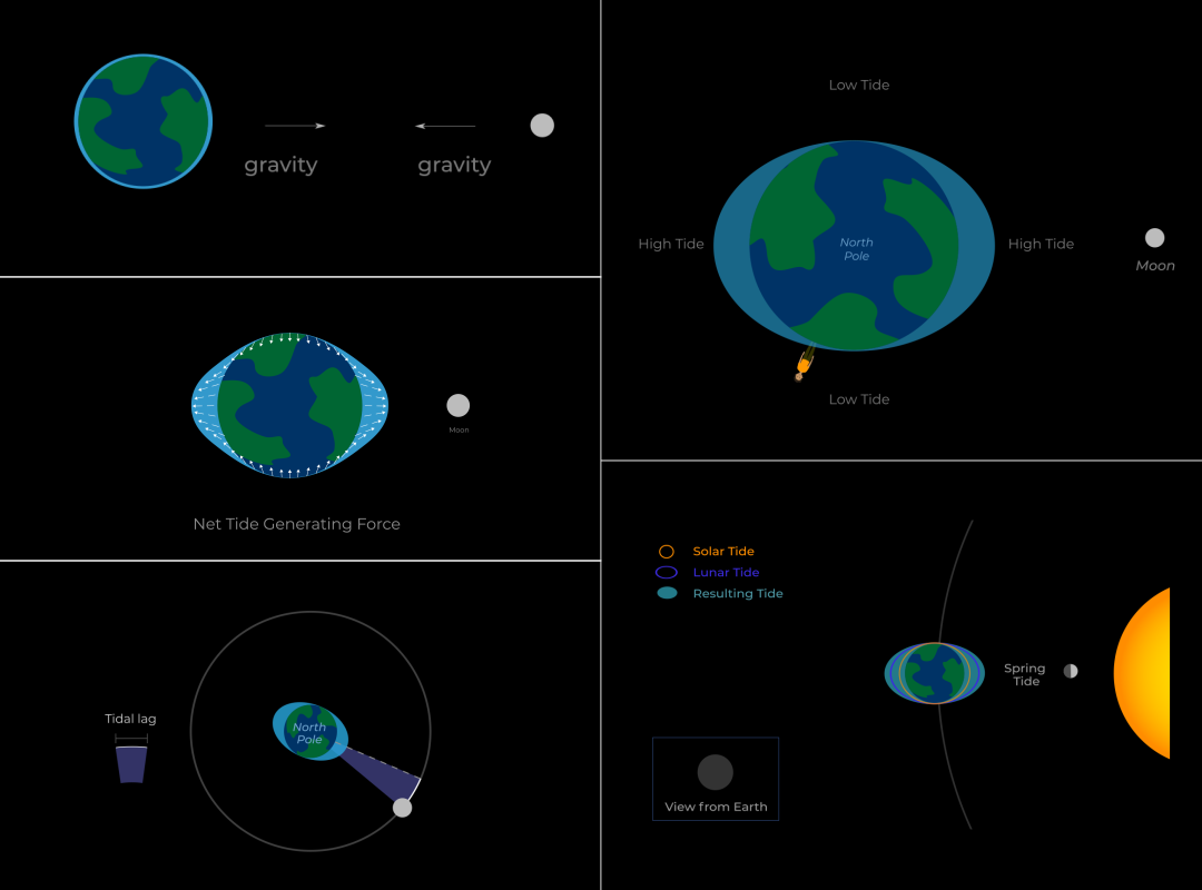 Collage of 5 diagrams showing how the Moon and Sun affects the Earth's tides.
