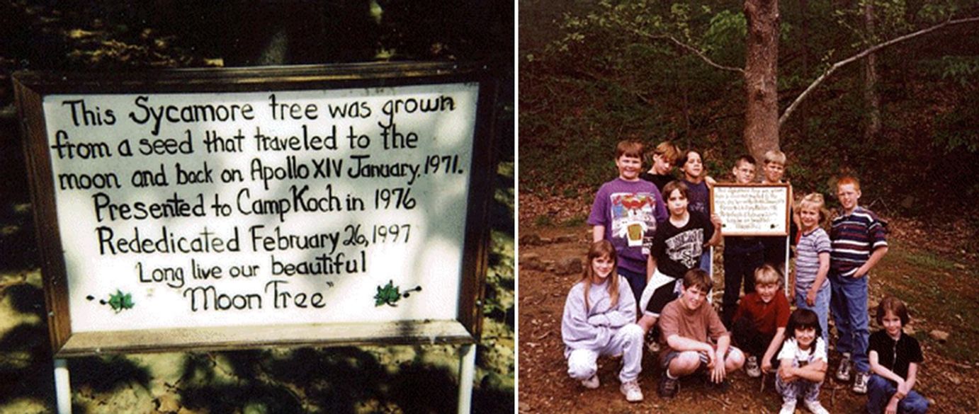 Collage of two photos: Left photo: Photo of a group of children standing outside posing around the plaque of the Moon Tree. Right photo: Photo of a group of children standing outside posing around the plaque of the Moon Tree.