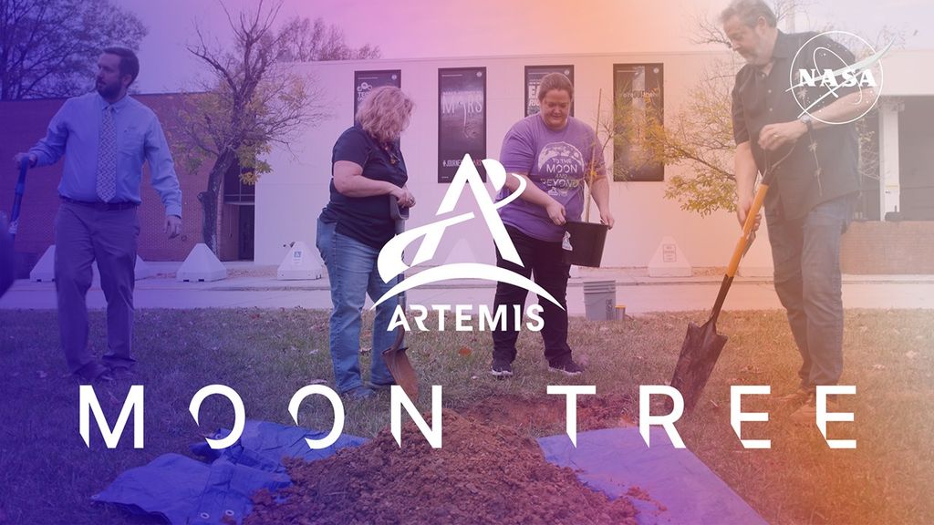 Team members from NASA’s Artemis missions plant a tree grown from a seed that traveled beyond the Moon and back to Earth. The Artemis mission logo and the text "Moon Tree" is overlaid at center.