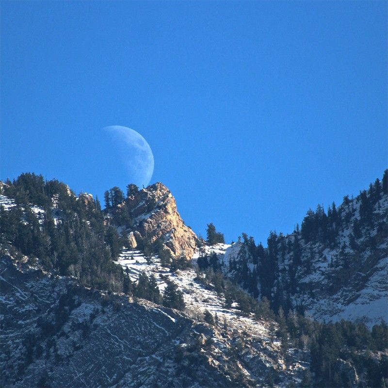 Photo of Moon over mountain treeline against blue sky.