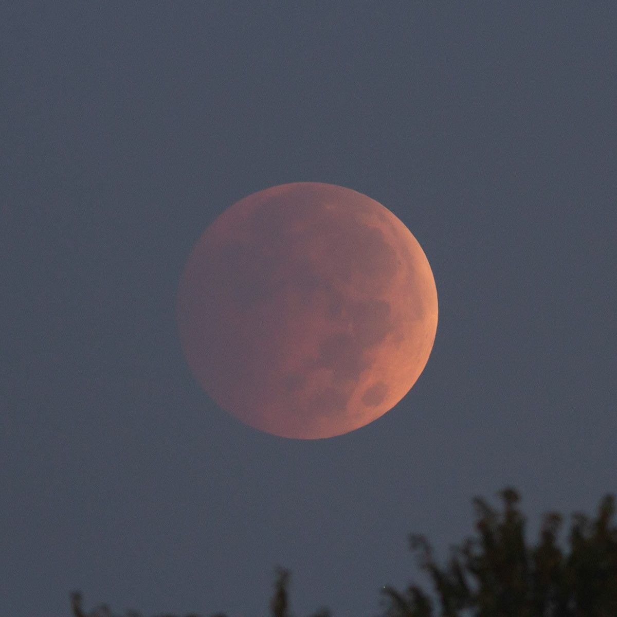 Photo of lunar eclipse