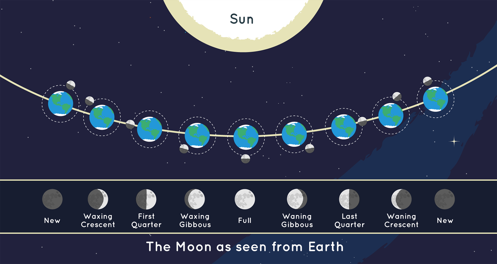 Diagram showing the position of the Moon and Sun during each of the eight lunar phases, with the matching shape of the Moon as seen from Earth