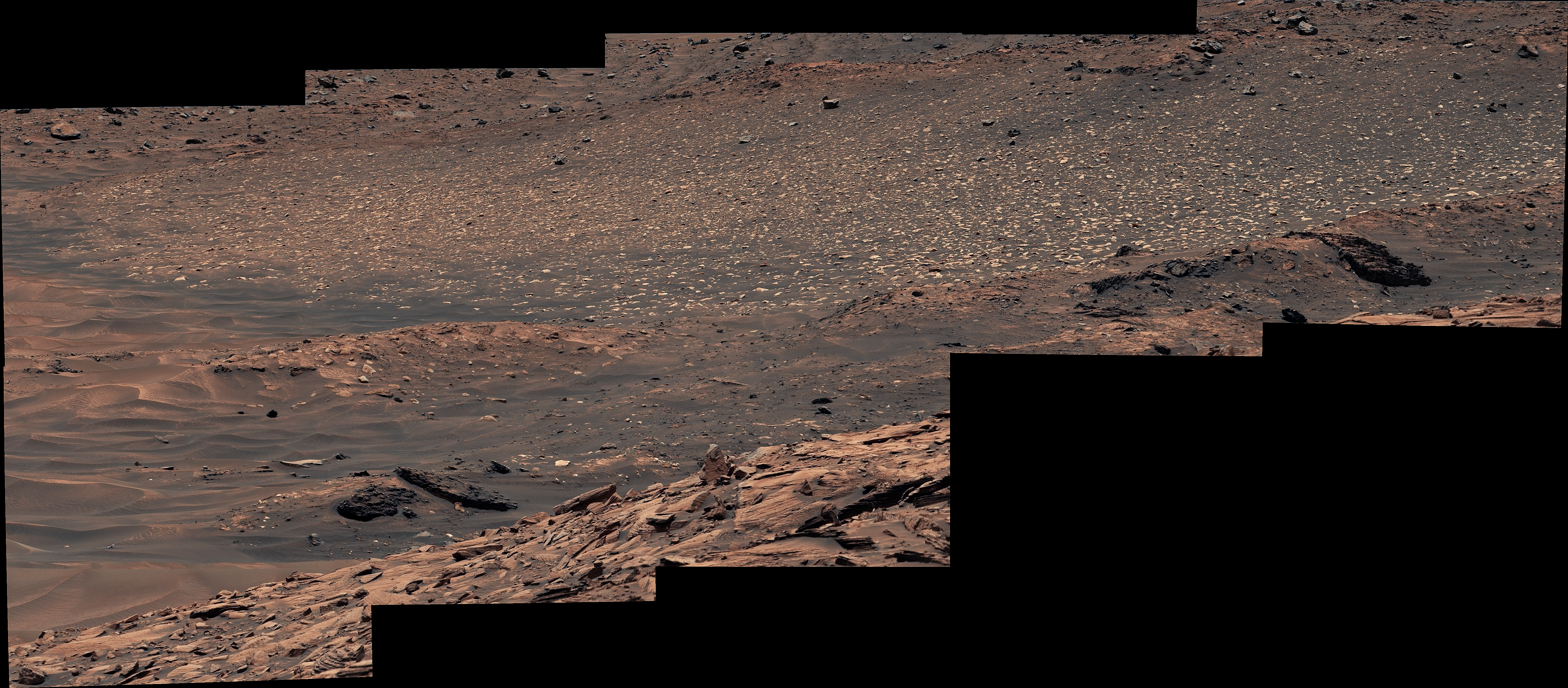 Wide view of dozens of whitish stones against the red soil of Mars.