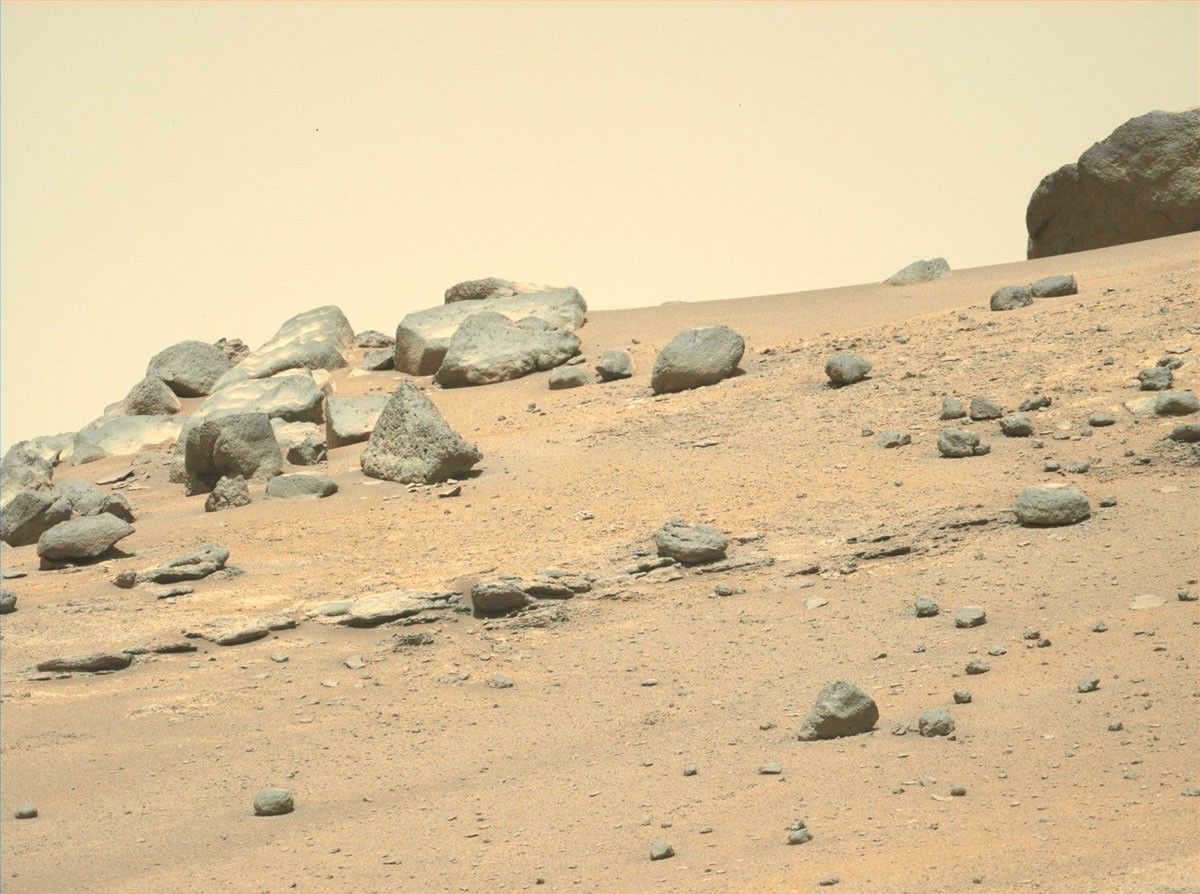 NASA's Mars Perseverance rover acquired this image using its Left Mastcam-Z camera. Mastcam-Z is a pair of cameras located high on the rover's mast.